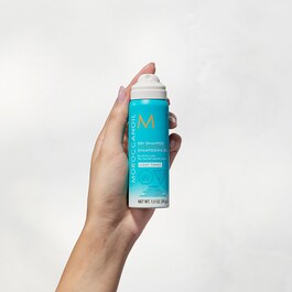 Dry Shampoo - Light Tones Mini