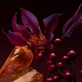 BOSS The Scent for Her Elixir Parfum Intense
