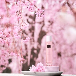 The Ritual of Sakura - Mist til krop og hår