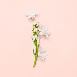 Gucci Bloom - Eau de Parfum