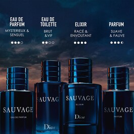 Sauvage - Spray deodorant til mænd - Spray deodorant med duft
