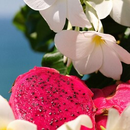 Brazilian Crush Cheirosa 68 - Perfume Mist
