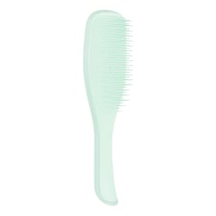 The Wet Detangler Fine & Fragile - Hair Brush, TANGLE TEEZER