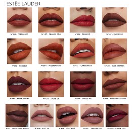Pure Color - Matte Lipstick