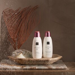 The Ritual of Sakura - Shampoo