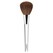 Powder Brush