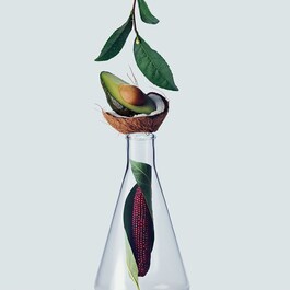 Botanical Repair - Rich Mask