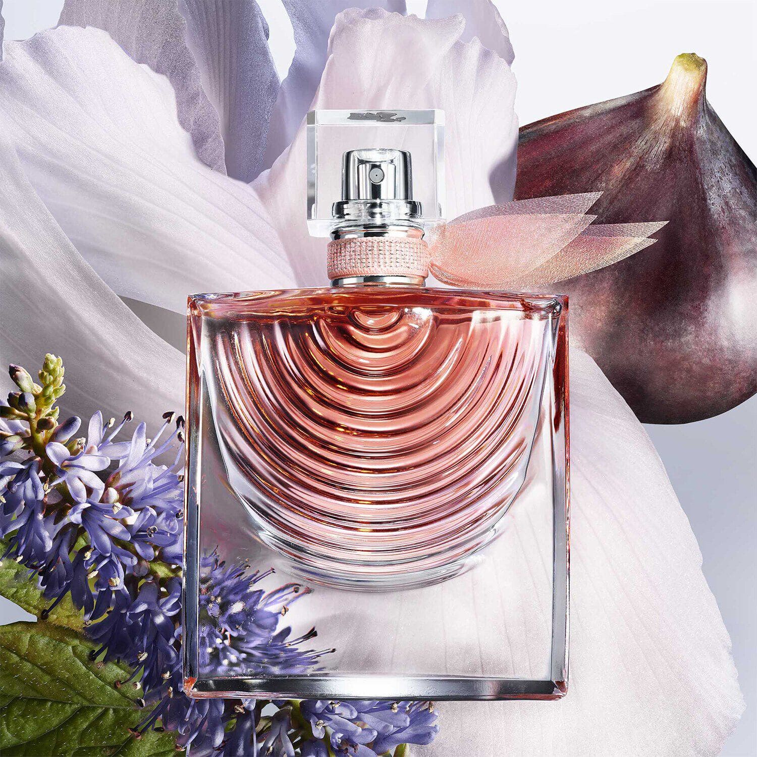 La veste belle perfume best sale