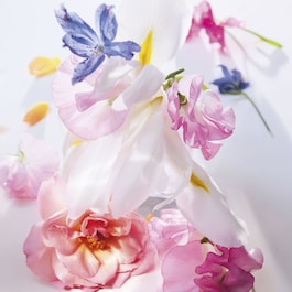 Miss Dior Roller-Pearl - Roll-On Fragrance - Friske og blomstrede noter