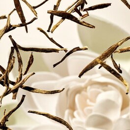 The Ritual of Karma - Home Fragrance