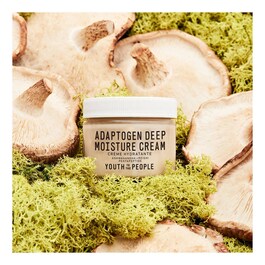 Adaptogen Deep - Moisture Cream