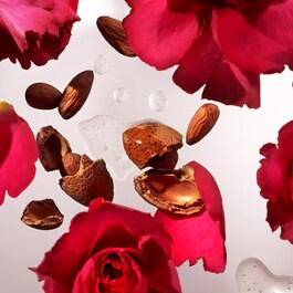 The Ritual of Ayurveda - Conditioner