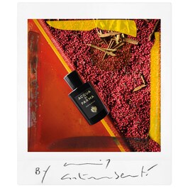 Oud & Spice - Eau de Parfum