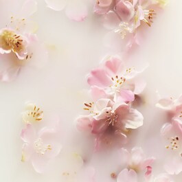 The Ritual of Sakura - Medium Gift Set
