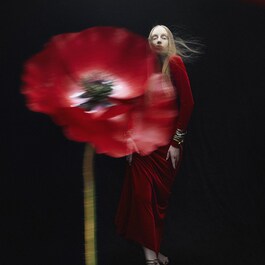 Scarlet Poppy - Cologne Intense