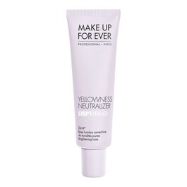 Color Corrector - Step 1 Primer image