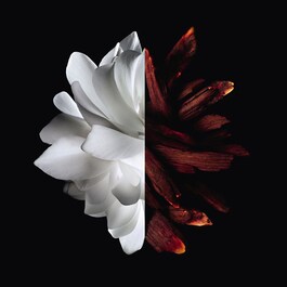 L'Interdit - Eau de Parfum Rouge