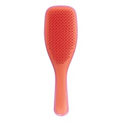 The Wet Detangler Lollipop - Detangling Brush, TANGLE TEEZER