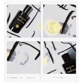 Signature Vanilglia - Eau De Parfume