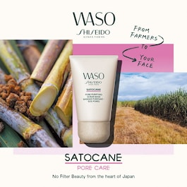 Purifying Mask
