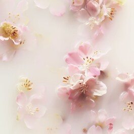 The Ritual of Sakura - Recovery Hand Balm
