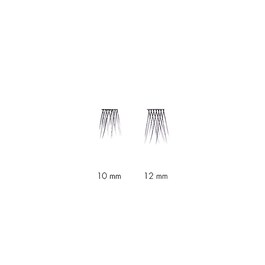 Lash Cluster Long