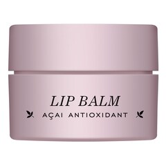 Acai - Lip Balm, RUDOLPH CARE