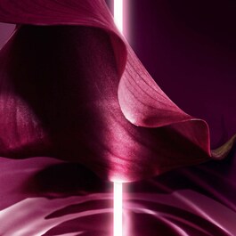 Capture Totale Firming and Wrinkle-Correcting Eye Cream - Pleje til øjenområdet