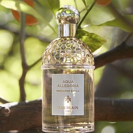 Aqua Allegoria Mandarine Basilic - Eau de Toilette