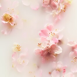 The Ritual of Sakura - Shampoo