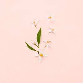 Gucci Bloom - Eau de Toilette