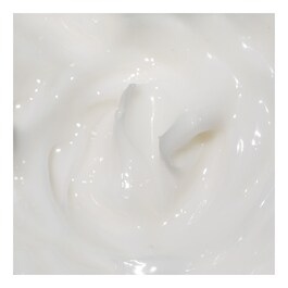 The True Cream - Moisturizing Bomb