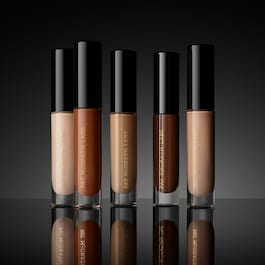Skin Fetish - Sublime Perfection Concealer