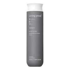 Perfect hair Day Shampoo - Fugtgivende shampoo, LIVING PROOF