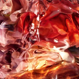 Aqua Allegoria Forte - Rosa Palissandro Eau de Parfum