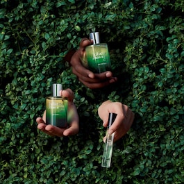 Ex Vetiver - Eau de parfum