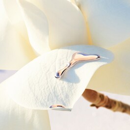 Alive - Eau de Toilette