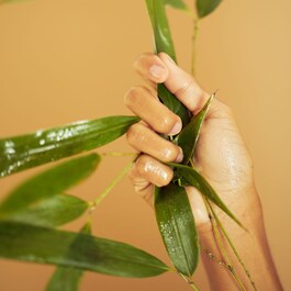 Bamboo - Matte Lotion