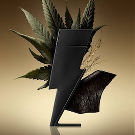 Bad Boy - Eau de Parfum