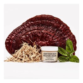 Adaptogen Deep - Moisture Cream