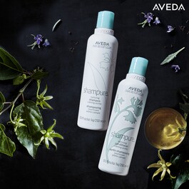 Shampure - Shampoo