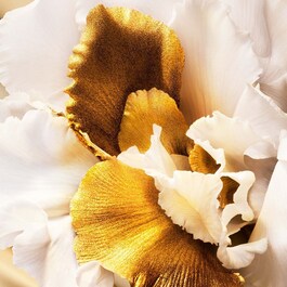 J'adore - Eau de parfum Roller-Pearl til kvinder