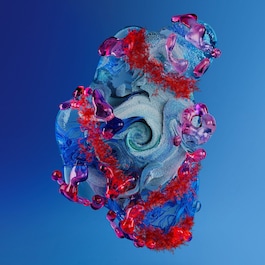 Blue Therapy - Red Algae Night Cream