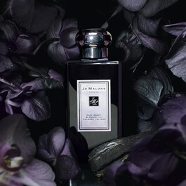 Dark Amber & Ginger Lily - Eau De Cologne Intense