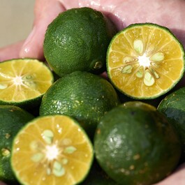 Gel-to-Oil - Cleanser