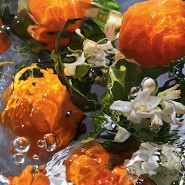 Aqua Allegoria Mandarine Basilic - Hand Cream