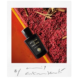 Oud & Spice - Eau de Parfum