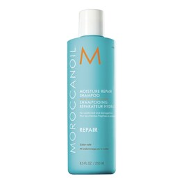 Moisture Repair - Shampoo