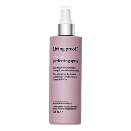 Restore - Perfecting Spray
