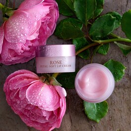 Rose Lip Cream - Fugtgivende læbebalsam med rose